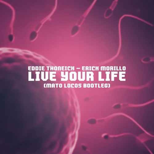 Erick Morillo - Live Your Life