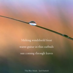 Melting Frost (NaviarHaiku116 - Melting Windshield Frost)