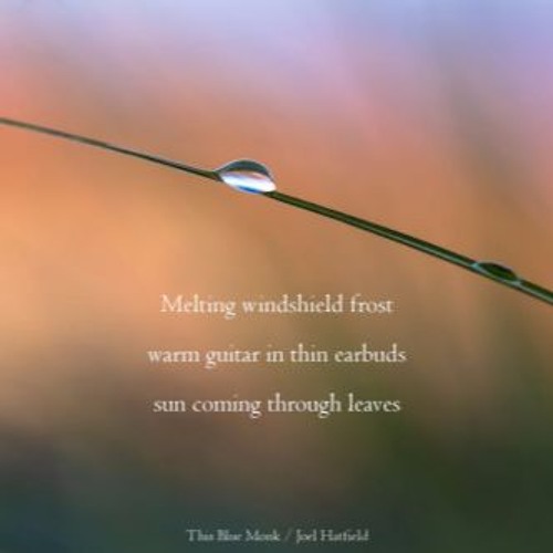 Melting Frost (NaviarHaiku116 - Melting Windshield Frost)