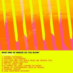 El Perro Del Mar – Change Of Heart (What Kind Of Breeze Do You Blow? Remix)