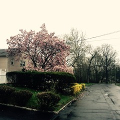 Better Dayz (Prod. By Meech)