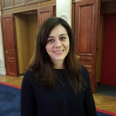 Interview de Catalina Lopez Portillo, chargée des affaires politiques et économiques à l'ambassade du Mexique en France.