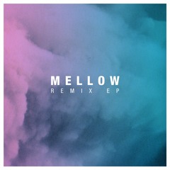 YellowStraps x Le Motel Pollen (Nikitch Remix) [TNGRM011]