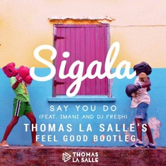 Say You Do (Thomas La Salle's Feel Good Bootleg) [Free Download]