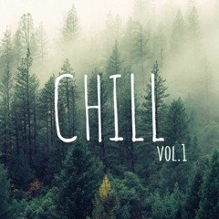 Chill/Trap/D&B/House vol.1