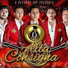 Alta Consigna El Semental  2016