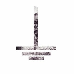 MOTH - Lymantria (GRND 012)