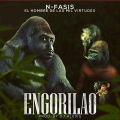 N-fasis - engorilao (Original)