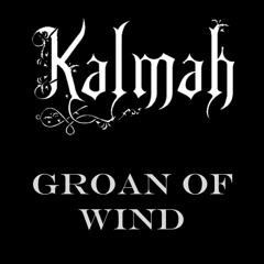Kalmah - Groan of Wind (INSTRUMENTAL COVER)
