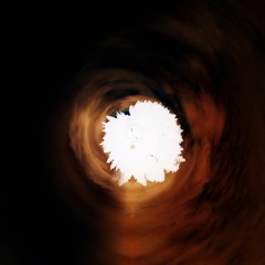 Chasing Cars (Cover)