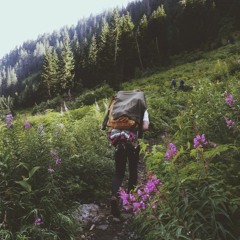 Lev - Kingdom Hearts  (Ft. Zedd - Spectrum Vocals)