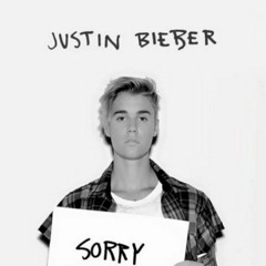 Sorry Justin Bieber feat. Sirrix  Reimgaine
