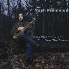 Noah Preminger – Hard Time Killin' Floor Blues