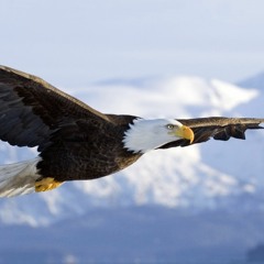 2015 Jamming in the morning at Tsalie AZ 04