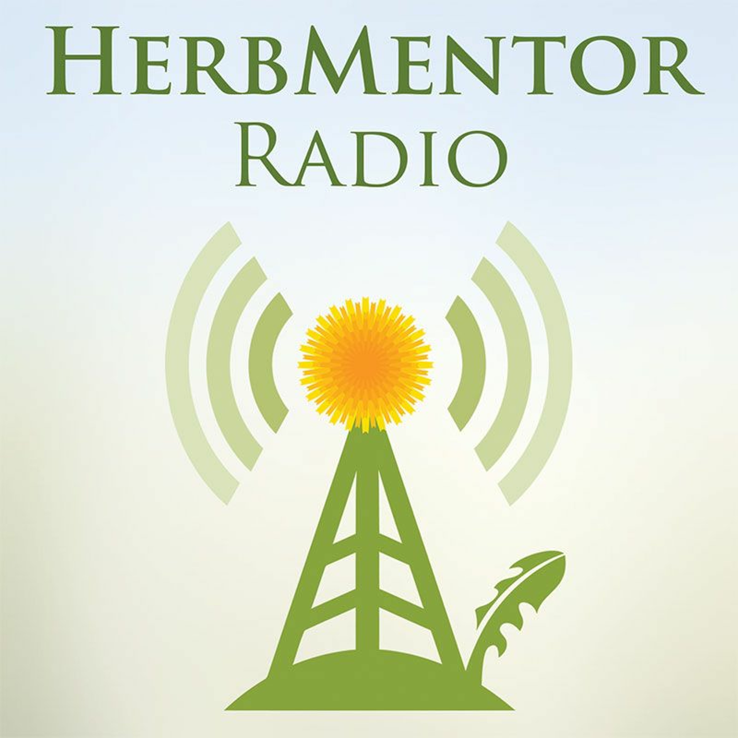 HERBMENTOR. Радио гималаи