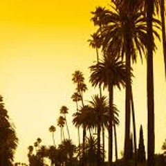 Gangstas & strippers