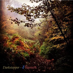 Darkstepper - J Favours (Original Mix)