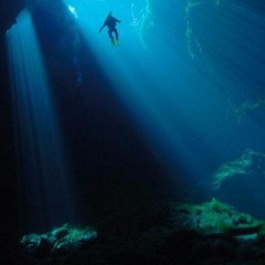 Dive the Ocean