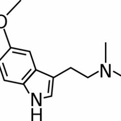 Dimethyltryptamine