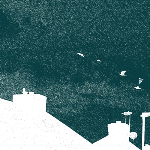 Daniel Gadd - Little Bird | Lisa Hannigan Cover