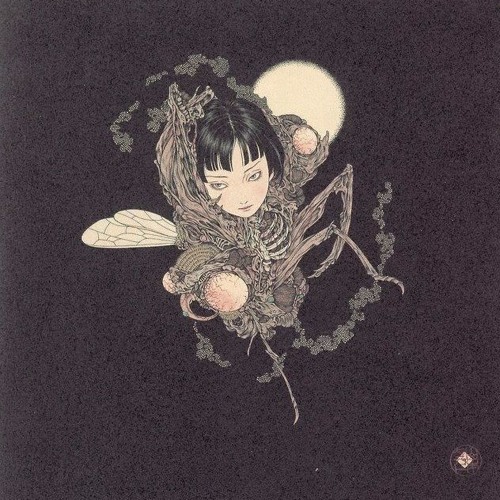 LiveLite Mix 10