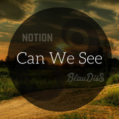 Notion x BlauDisS - Can We See