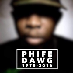 Dj Arsonist - A Tribe Called Quest Mix(Tribute To Phife Dawg)