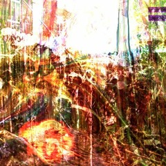 psonikadia - beeyond