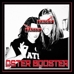 Oster Booster eierlei Brei Set Viki Zorn