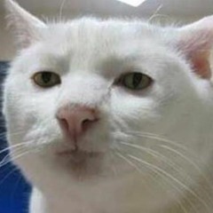 Em Cua Qua Khu - Huy Nam