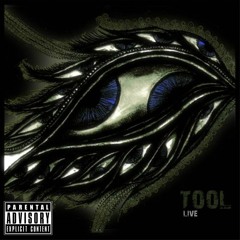 19 - Triad - Tool (LIVE)