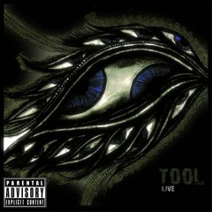 16 - Eon Blue Apocalypse & The Patient - Tool (LIVE)