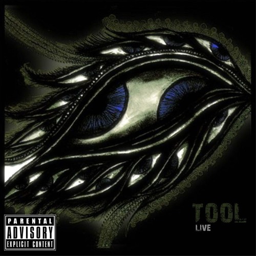 13 - Schism - Tool (LIVE)