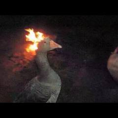 It's Duckin Lit