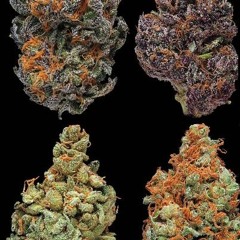 Kendrick lamar type beat ( Tha Truth) - Prod. By XaviorJordan