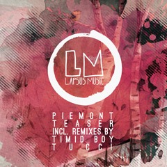 Piemont - Holy (Timid Boy Remix)