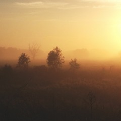 Chill Sessions Mix 1