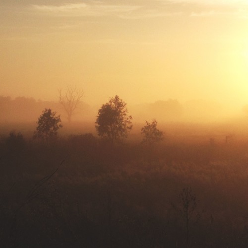 Chill Sessions Mix 1