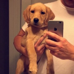 Name - Goo Goo Dolls (Acoustic Cover)