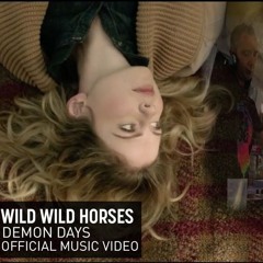 Wild Wild Horses - Demon Days (Matt Finlay IBZ)