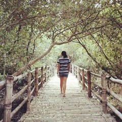 Leaving On A Jet Plane