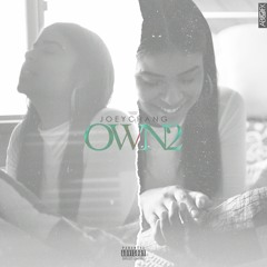 Own 2 (I Did)