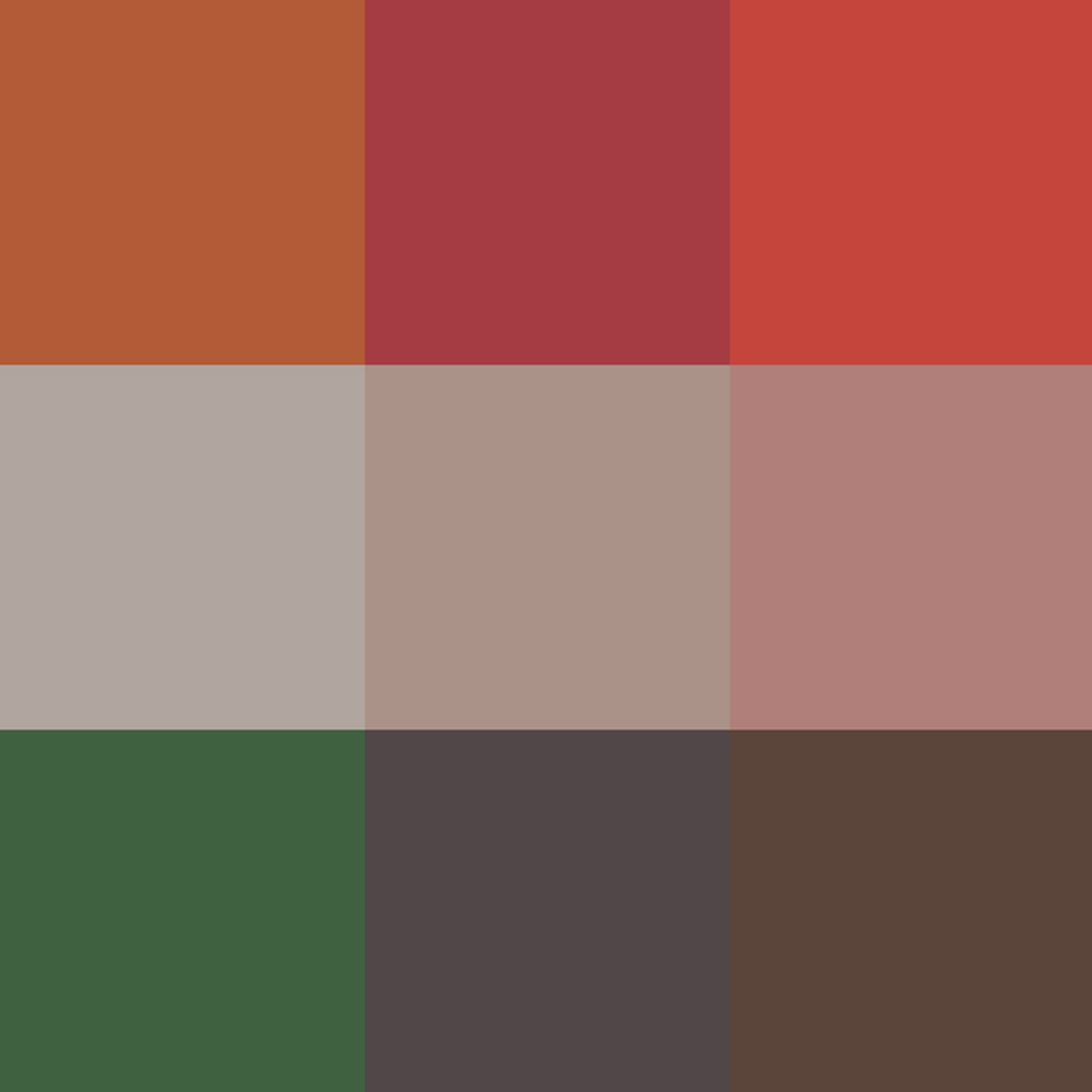 analoc