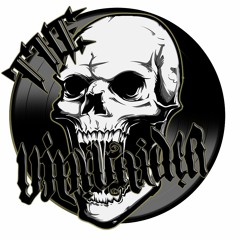 THE VINYLRAIDERS 120 MINUTES PURE INDU MIXTAPE