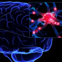 Feeling You (feat. Toni Blackman)