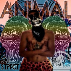 SAI - ANIMAL // MDA RECORD 2016