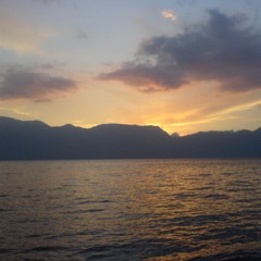 Wild Word(coverbymilando)