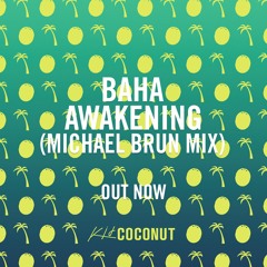 BAHA - Awakening (Michael Brun Mix)