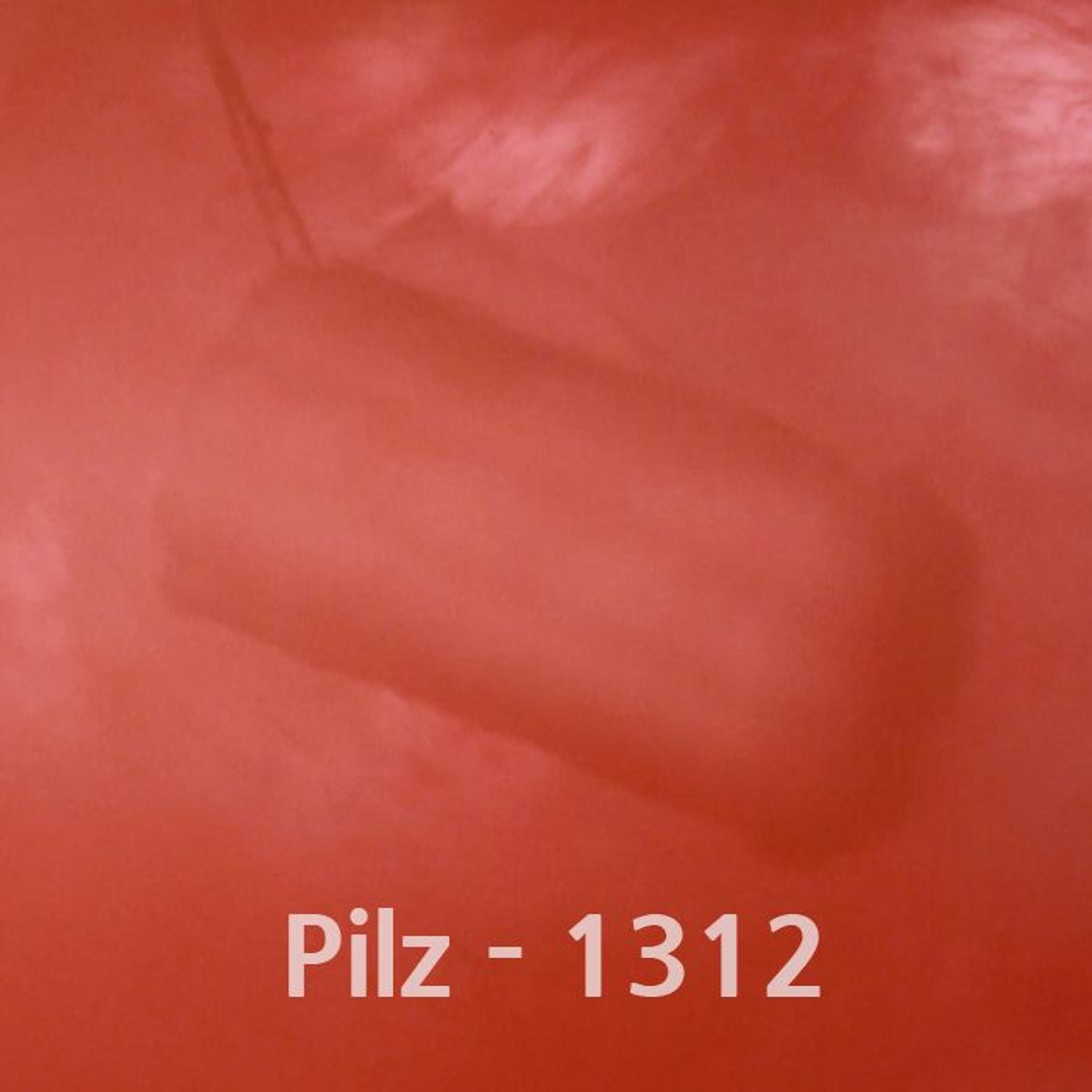 Rypzylon / Maligne