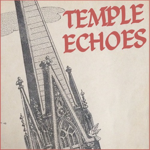 "Seer" by Temple Echoes
